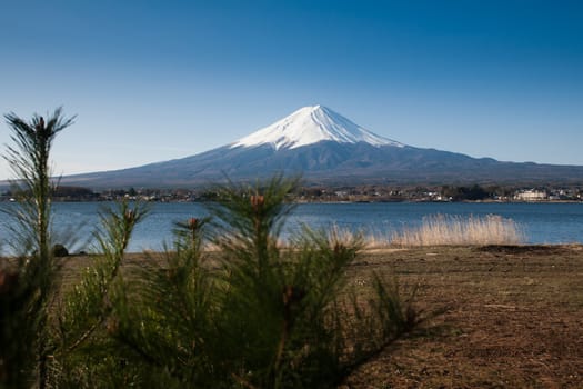 Mt Fuji view from the lake