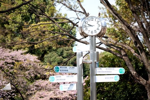 clock in japan park