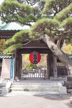 red lantern in front of temple kamakura