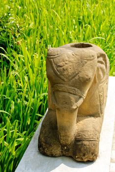 Elephant sculpture on rice field background