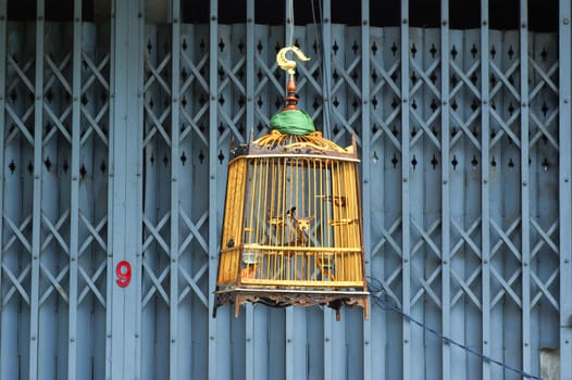 wooden bird cage