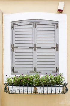 the closed grey window on the yellow wall