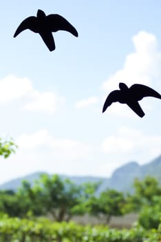 Birds Silhouettes on sky