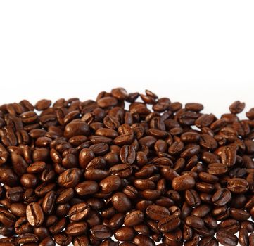 Closeup of coffee beans on plain background. Copy space