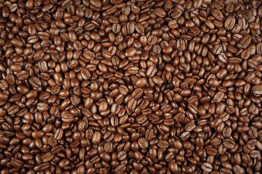 Closeup of roasted coffee beans