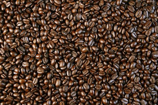 Closeup of roasted coffee beans