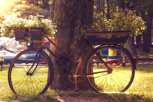 flowers on a black bicycle in the park