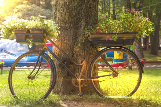 flowers on a black bicycle in the park