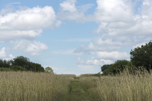 bleu sky and white clouds with walking path in african lodge