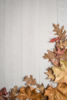 Autumn foliage on white wooden background.
