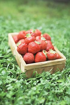 Strawberries in a small wooden basket