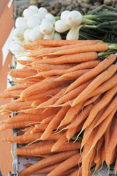 Carrots for sale on a market place.