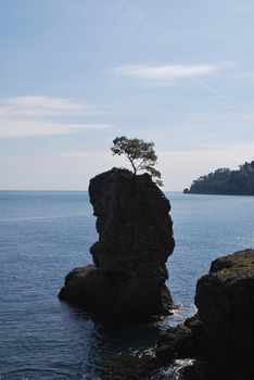 on the way to Portofino, Liguria, Italy