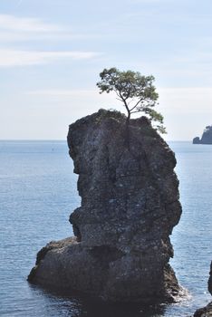 on the way to Portofino, Liguria, Italy