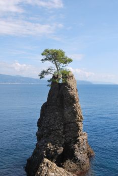 on the way to Portofino, Liguria, Italy