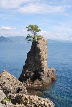 on the way to Portofino, Liguria, Italy