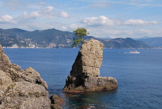 on the way to Portofino, Liguria, Italy