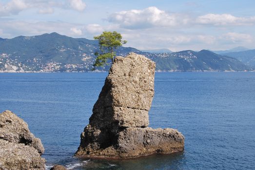 on the way to Portofino, Liguria, Italy