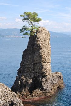 on the way to Portofino, Liguria, Italy