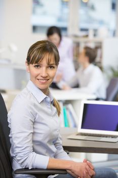 Female business laptop desk start-up colleagues background