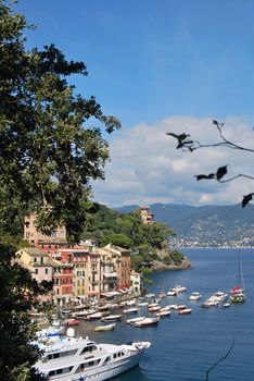 on the way to Portofino, Liguria, Italy