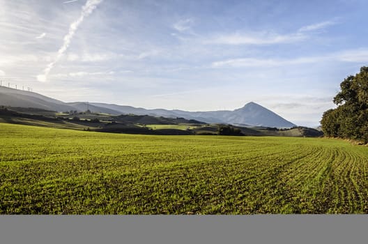 Beautiful picture at the fields in Navarra. Great colors and clean sky background.