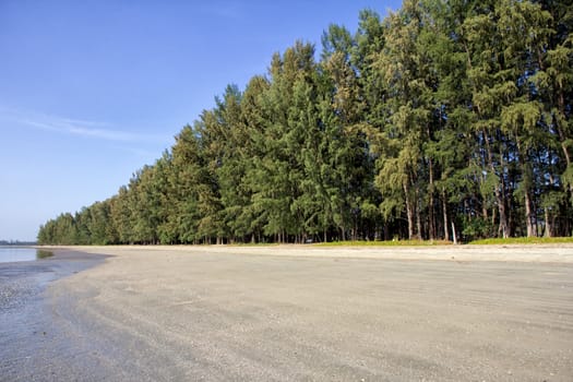 Deserted Rajamangala beach with Casuarina tree backdrop, Trang Province, Thailand