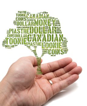 Canadian growing savings concept with tag cloud tree inside a married male Asian hand on white background