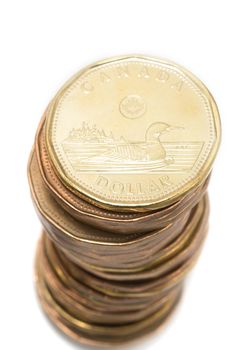 One Canadian dollar coins stack on white background