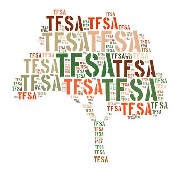 Canadian Tax-Free Savings Account concept word cloud