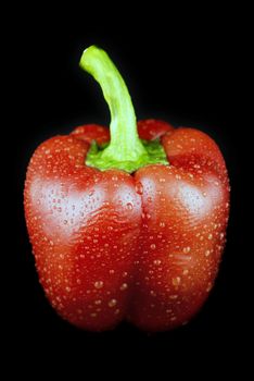 Red sweet pepper on a black background