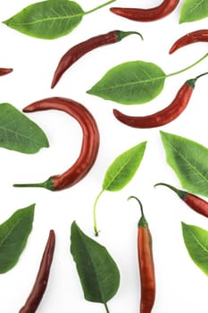 red hot chili pepper with leaves on a white background