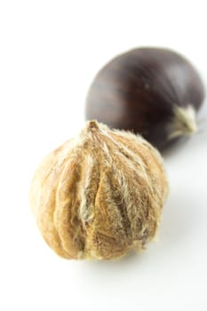 Sweet chestnuts with peels on white background.