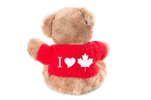 I love Canada Teddy bear  isolated on white background. Back view 