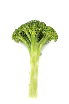 Fresh long and lean  broccoli in closeup 