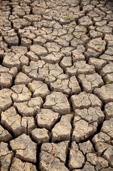 Drought has broken ground cracks because of lack of water.
