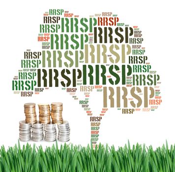 Canadian growing savings concept with tag cloud on green grass with coins under tree