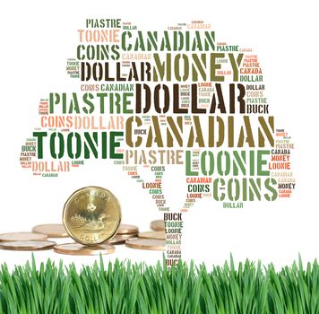 Canadian growing savings concept with tag cloud on green grass with coins under tree