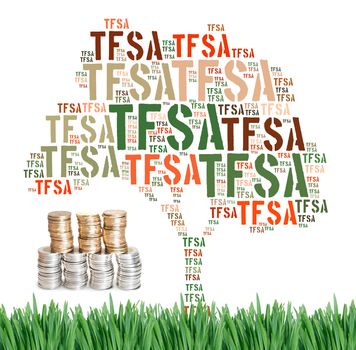 Canadian Tax-Free Savings Account concept word cloud