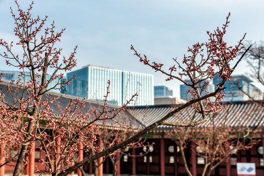 A corner of Gyeongbokgung Palace grounds in Seoul, South Korea.