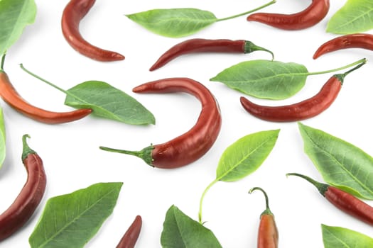 red hot chili pepper with leaves on a white background