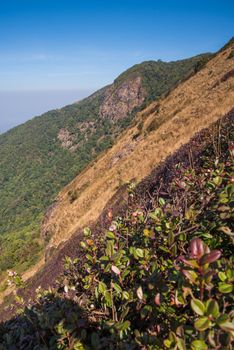 Viewpoint at Kew mae pan nature trail, Doi Inthanon national park, ChiangMai, Thailand