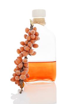 Sea buckthorn oil in glass bottle and fresh berries with frost isolated on white background. Healthy alternative medicine.