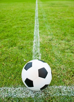 The ball in grass. The sideline. Fresh green grass. Black and white ball.