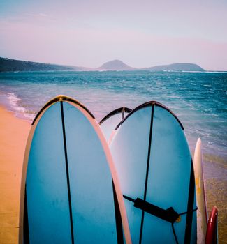 Retro FIltered Surfboards On A Beautiful Hawaiian Beach