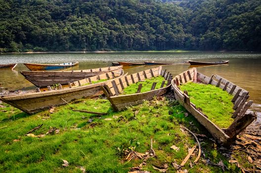 Old obsolete fishing boats at the lake, Pokhara, Nepal