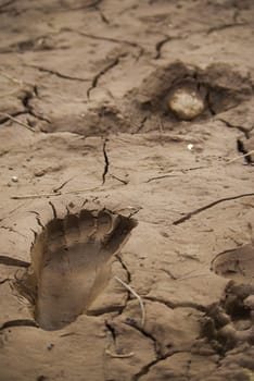 Footprint on soil