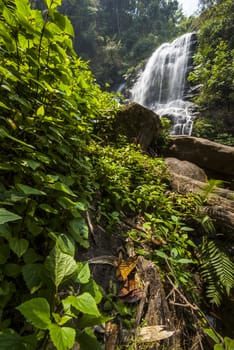 Water fall in spring season located in deep rain forest jungle. Mae Klang Luang Waterfall, Chiang Mai, Thailand.