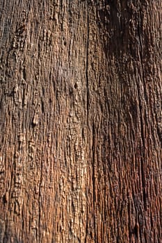 Brown wooden texture background