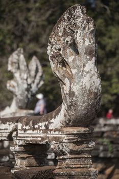 Sneak sculpture in Ankor Thom. Cambodia